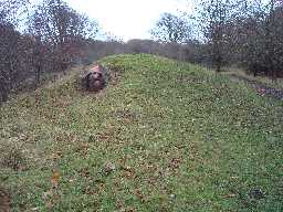 Icehouse @ Auckland Castle © DCC 24/11/09